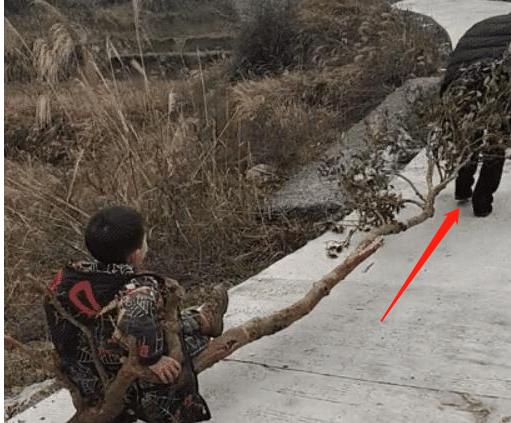 贵妇扮公主哄娃娃,爷爷扮成公主哄孙女