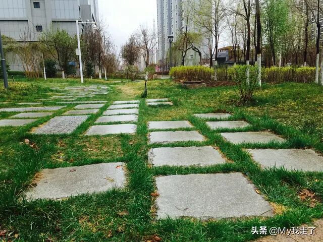 绿地城二期绿化乌鲁木齐,乌鲁木齐中海万锦公馆绿化环境