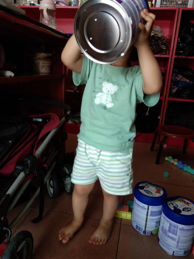 荷兰奶粉和新西兰奶粉,荷兰奶粉和蒙牛奶粉哪个好