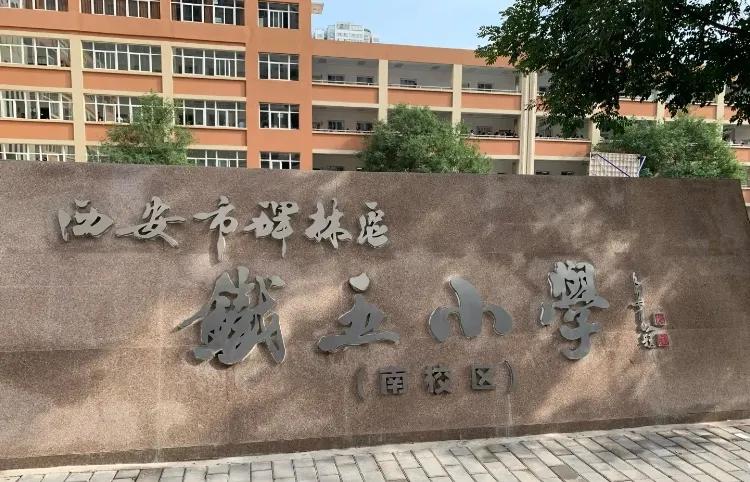 碑林最好的名校,碑林区所有中学排名