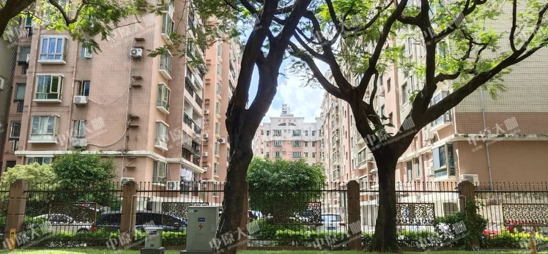 大金沙旧改最新消息,绿景旧改最新消息