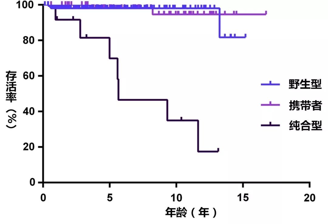 猫咪肥厚型心肌病怎么预防,猫肥厚型心肌病b超诊断
