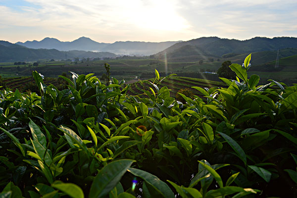 分享给热血创业者,我吃凉粉后的收获