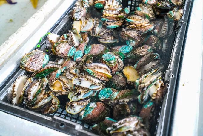 山东百强县2021年排名,山东2021百强县排名榜