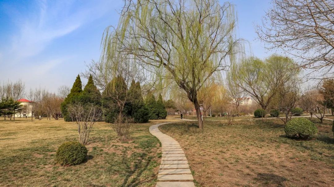 天津市五一新开放的公园,天津春暖花开西沽公园