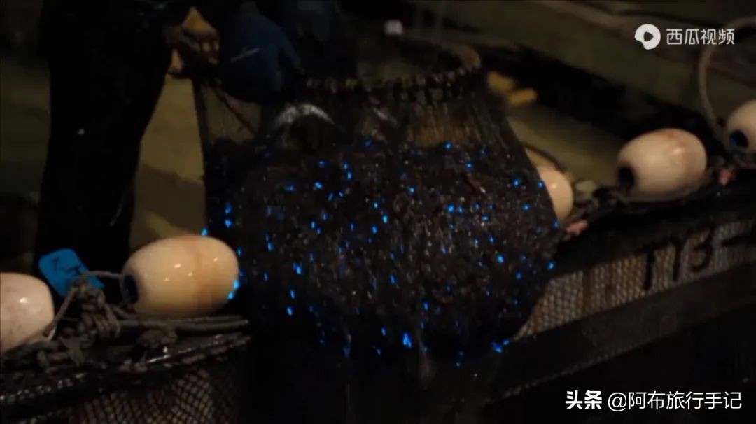 豆瓣9.1分看哭百万人,豆瓣评分9.0却很少有人看懂