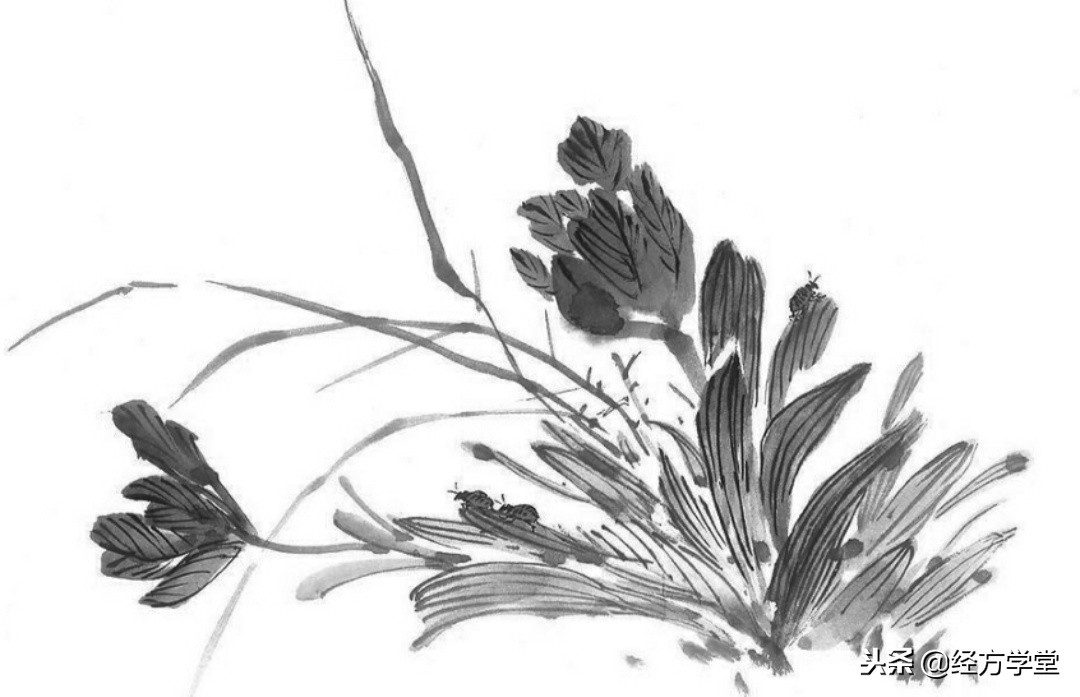 常用经方之辨证要点,胡希恕对经方的定义