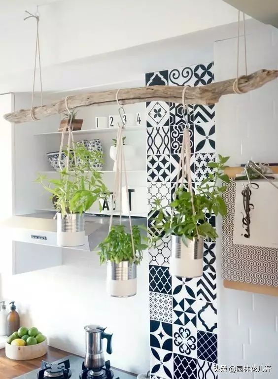 创意花盆简单制作方法,居家花盆