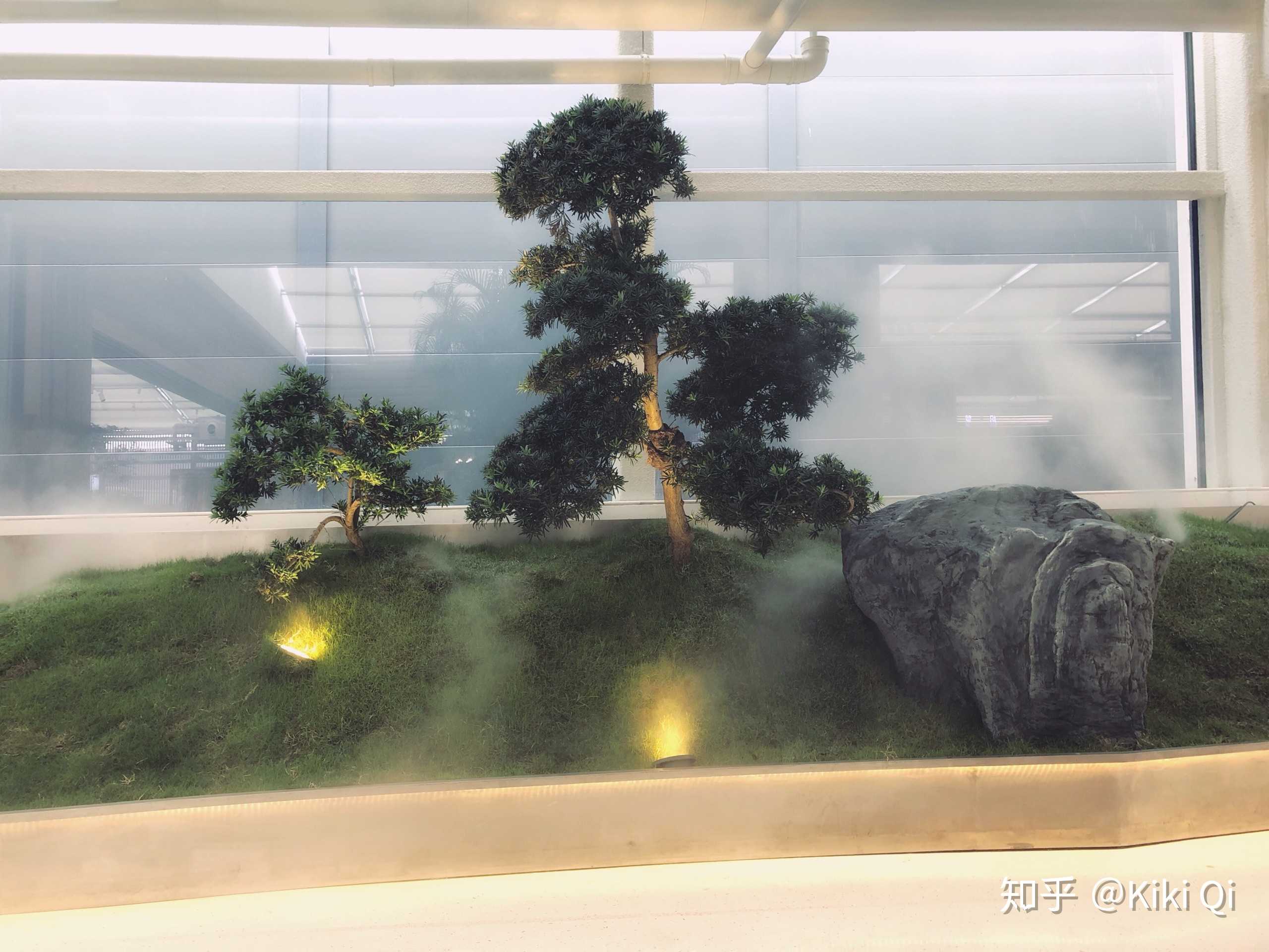 郑州有什么好吃的美食,郑州有什么好玩的地方情侣