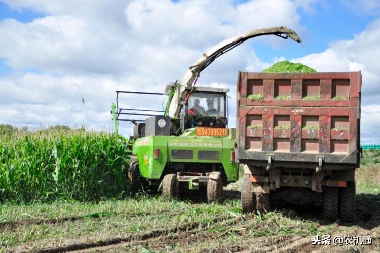 美迪青贮饲料机,美迪青贮机厂家