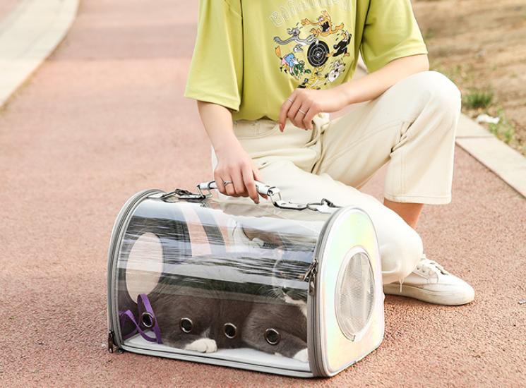 猫包有必要买侧开门的嘛,猫包是必备吗