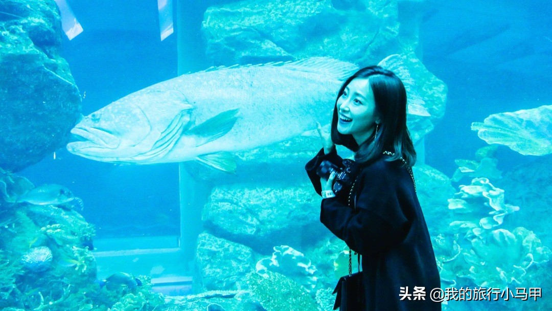 迪拜旅游攻略必去的地方,迪拜游玩全攻略