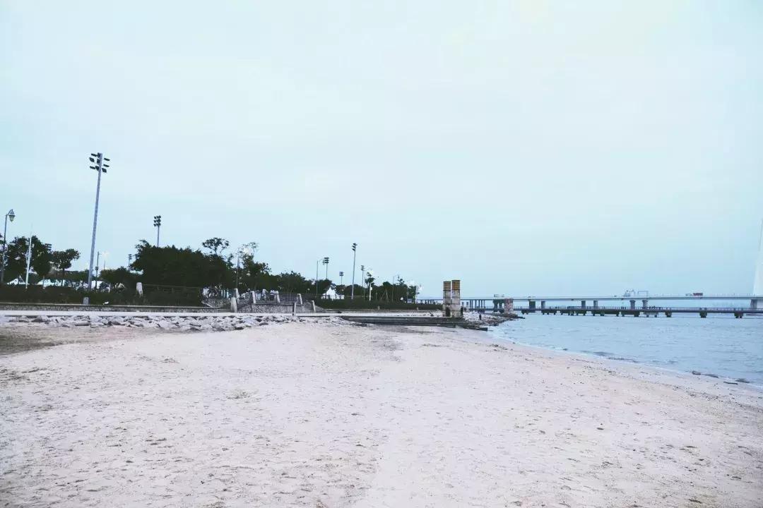 深圳湾公园这里有什么好吃的,深圳湾在哪里