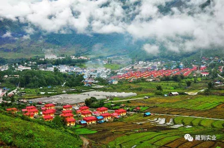 林芝海拔高度多少会有高原反应,海拔3100米含氧量林芝