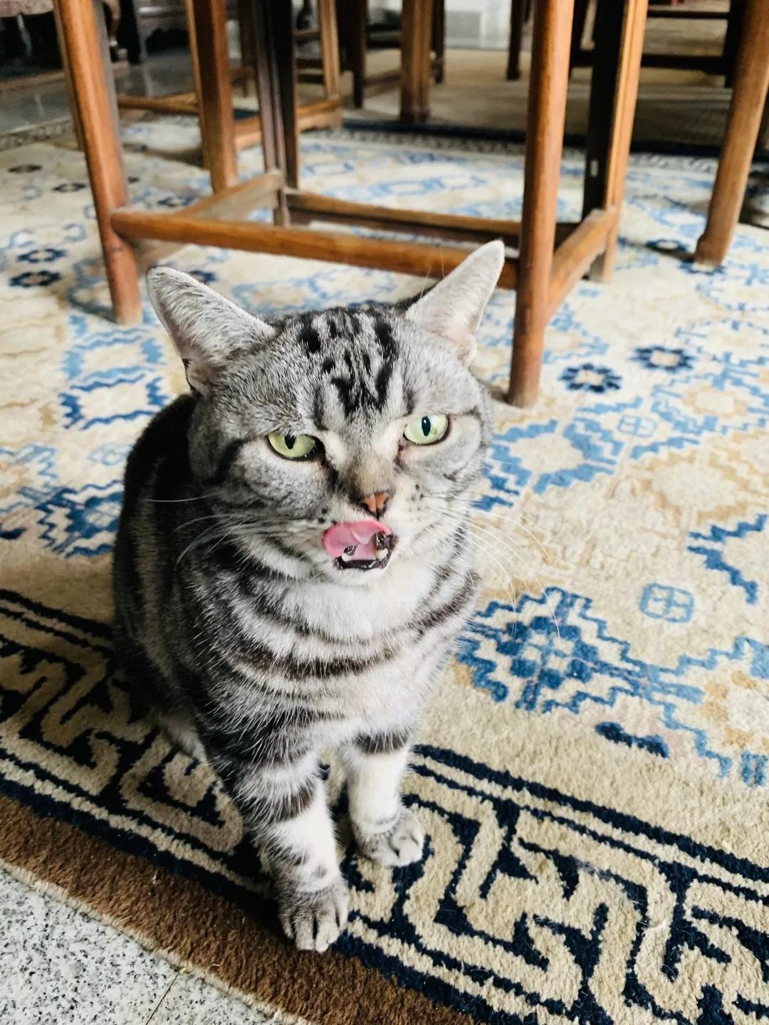 2019年掉缸事件,关于掉缸的事件