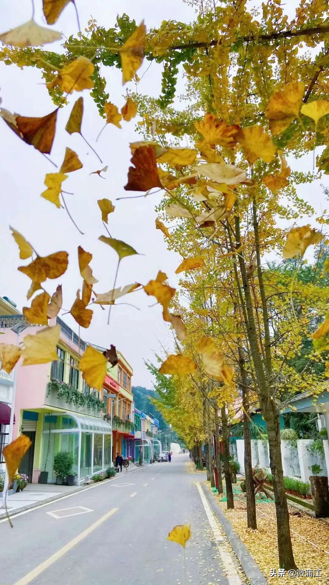 邂逅初冬的西湖,邂逅初冬的美妙韵味