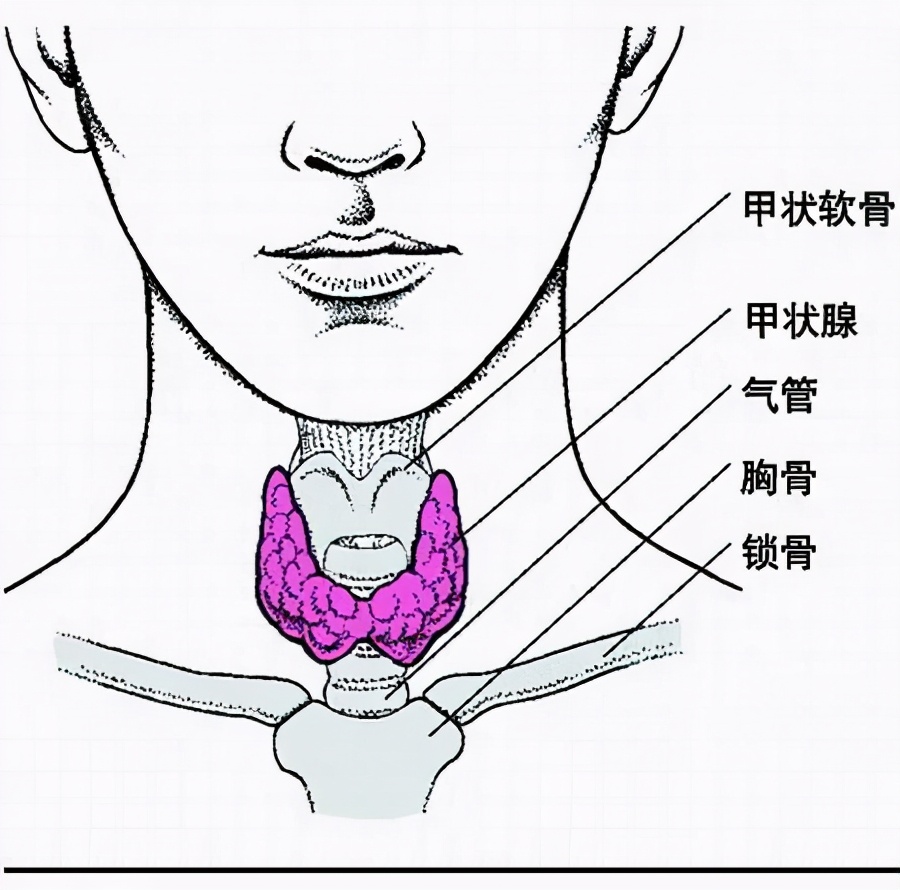 女性试管前需要做哪些体检,试管前期检查月经第几天检查