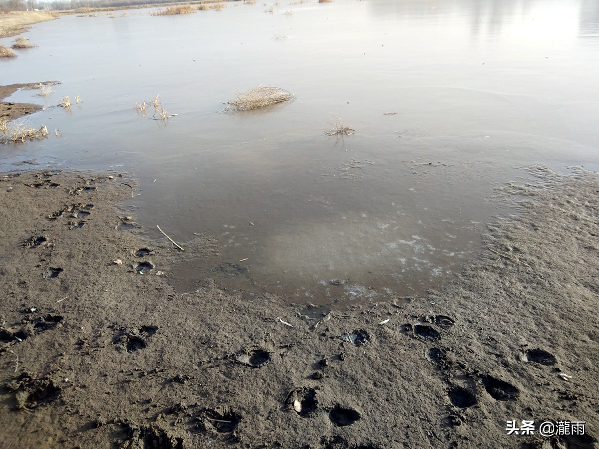 一个人浙江周边2-3天短途旅游,浙江出发1000公里以内旅游