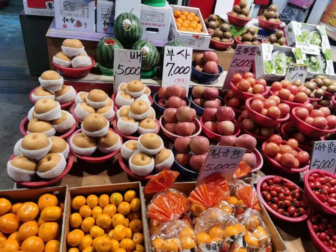 老高谈谈最近的事件,老高讲日本福岛核事故