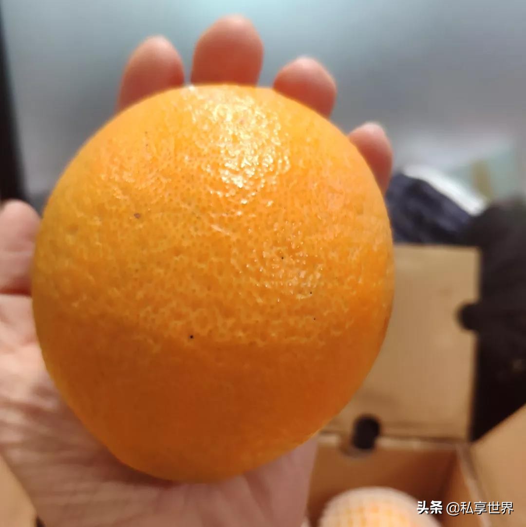 现在哪里的橙子最好吃,全国哪些地方的橙子好吃水分多