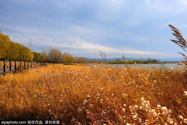 10月北京最佳小众旅行地！绝不能错过的秋色，到底有多美？
