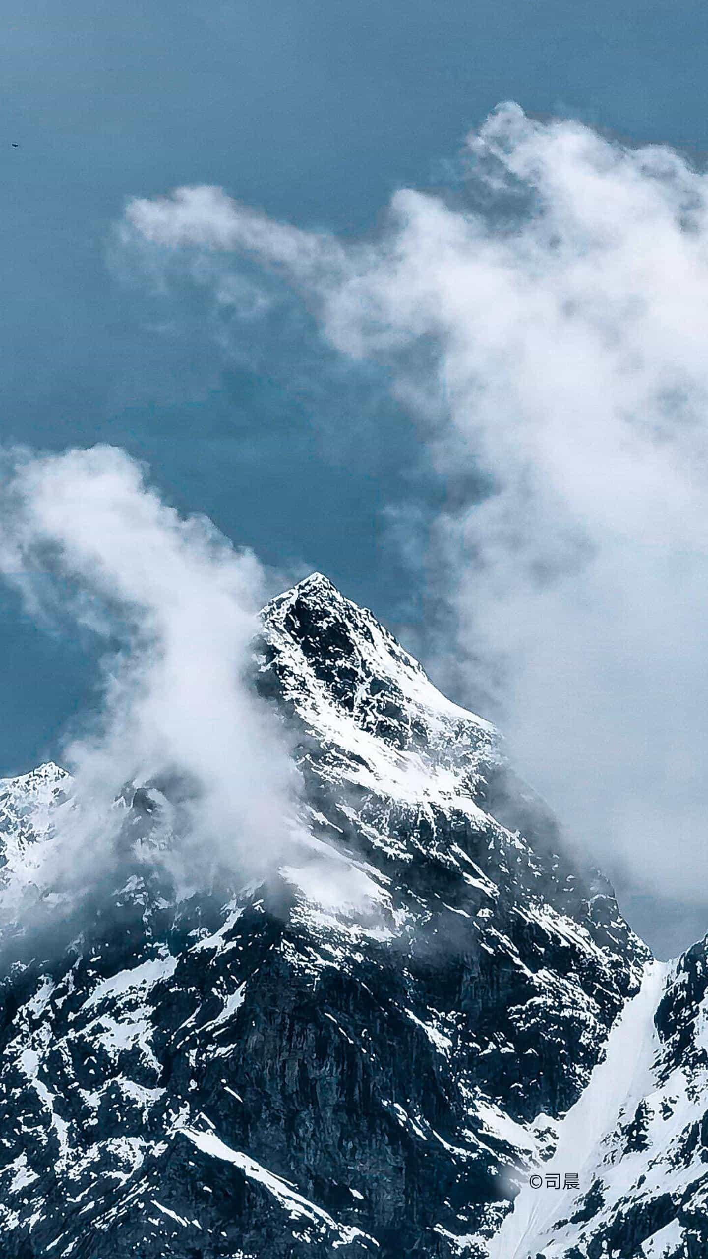 狐狸的尾巴肯定能抓得住,狐狸的尾巴会卷起来吗
