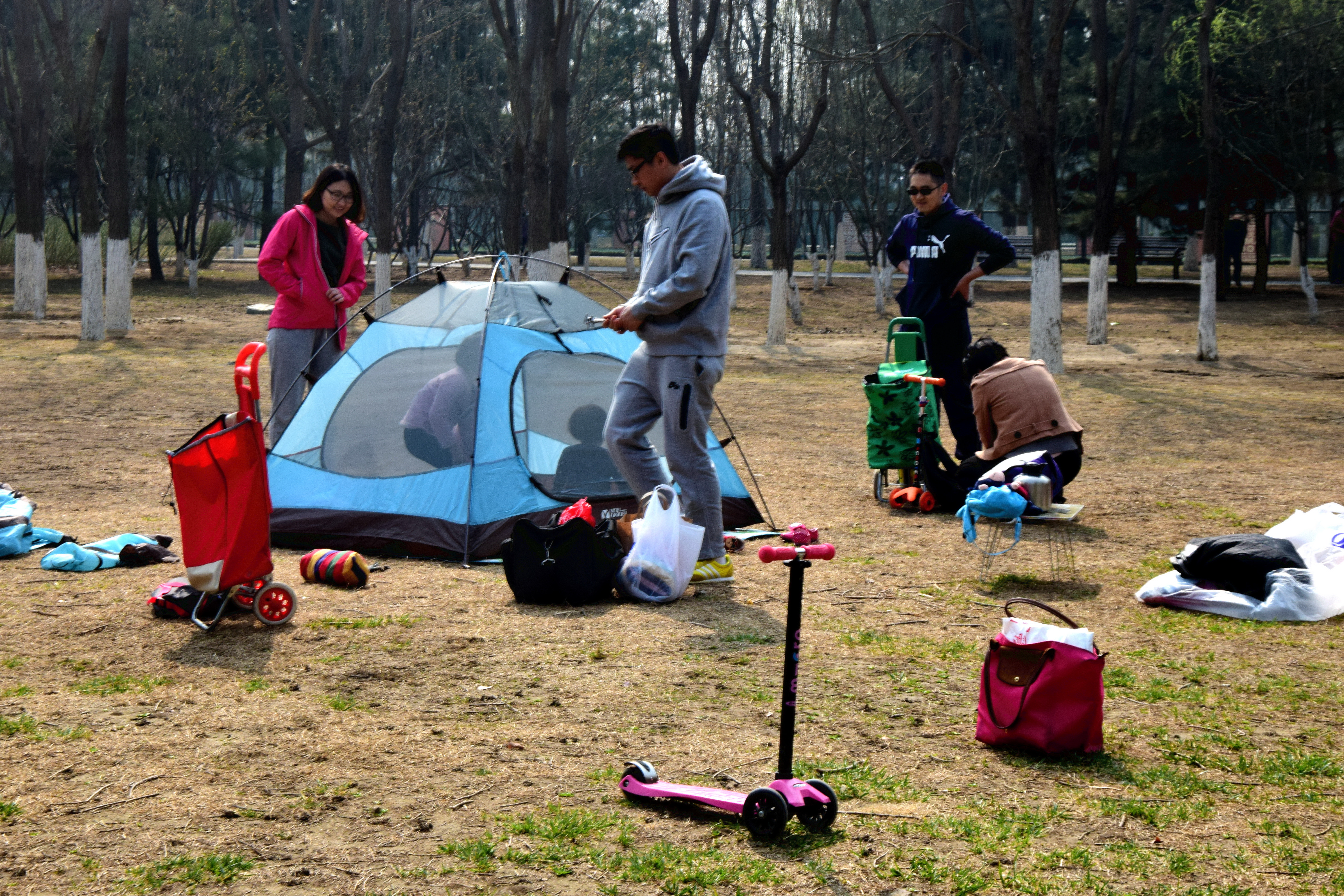 北京奥森让搭帐篷吗,奥森公园禁止营业吗