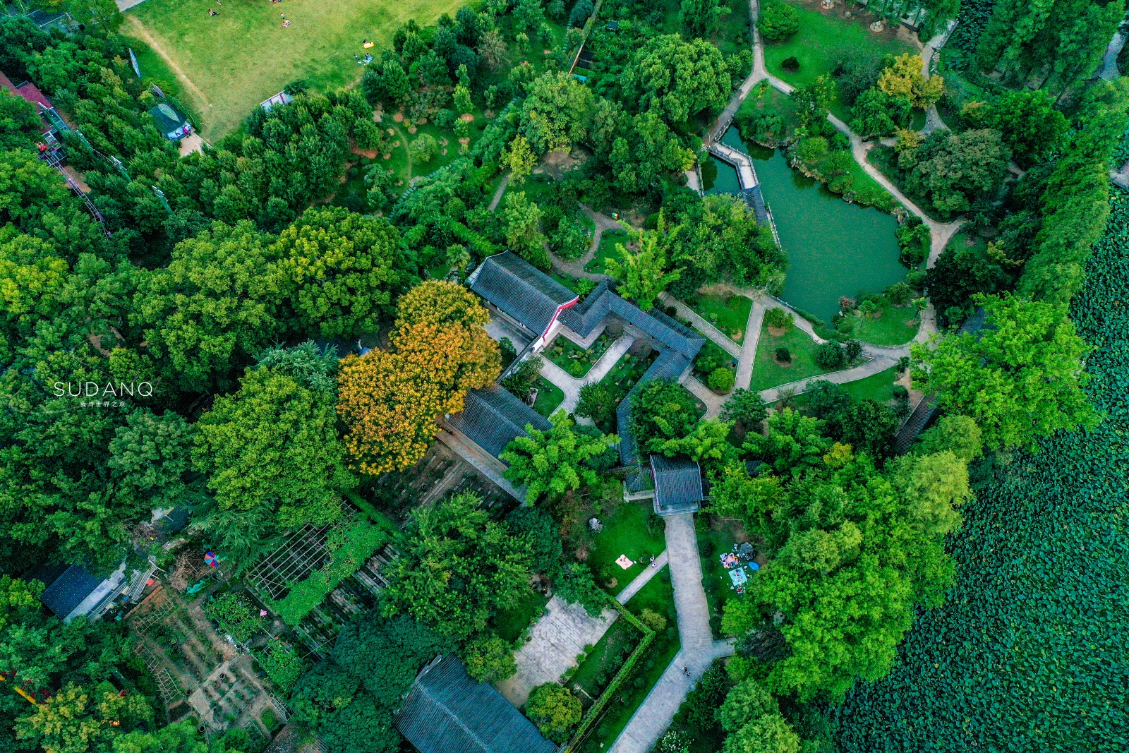 武汉东湖ufo事件,武汉东湖神秘事件