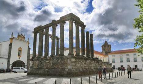 游四方走八荒,游四方全部视频