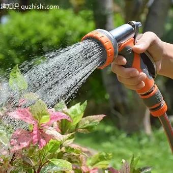 几个冷知识,这十个冷知识你知道几个呢