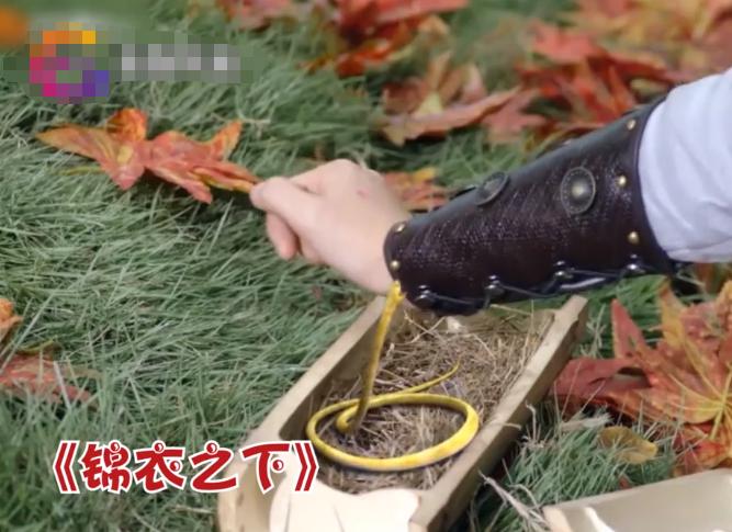 中国电视剧特效退化史:AI换头没《西游记》逼真,投资4亿效果5毛