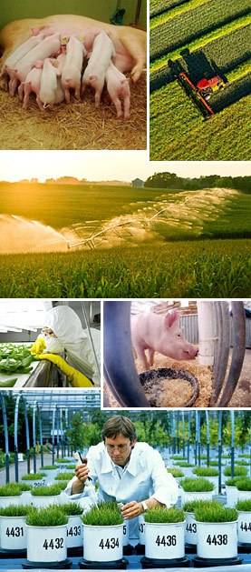 丹麦女王参加典礼,丹麦女王25周年