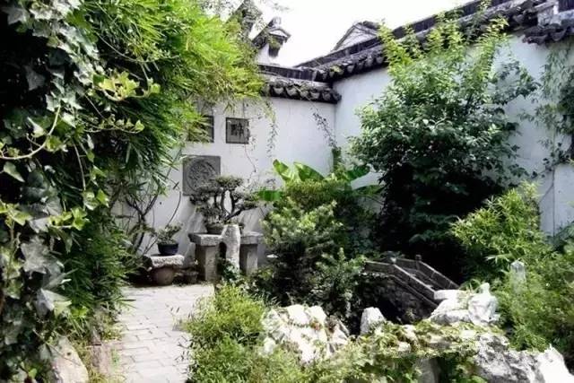 北方庭院室外耐寒植物,庭院驱蚊效果最好植物