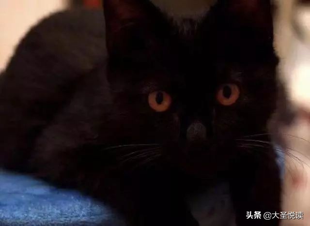 咦？原来你是这样色儿的黑洞！哈哈——