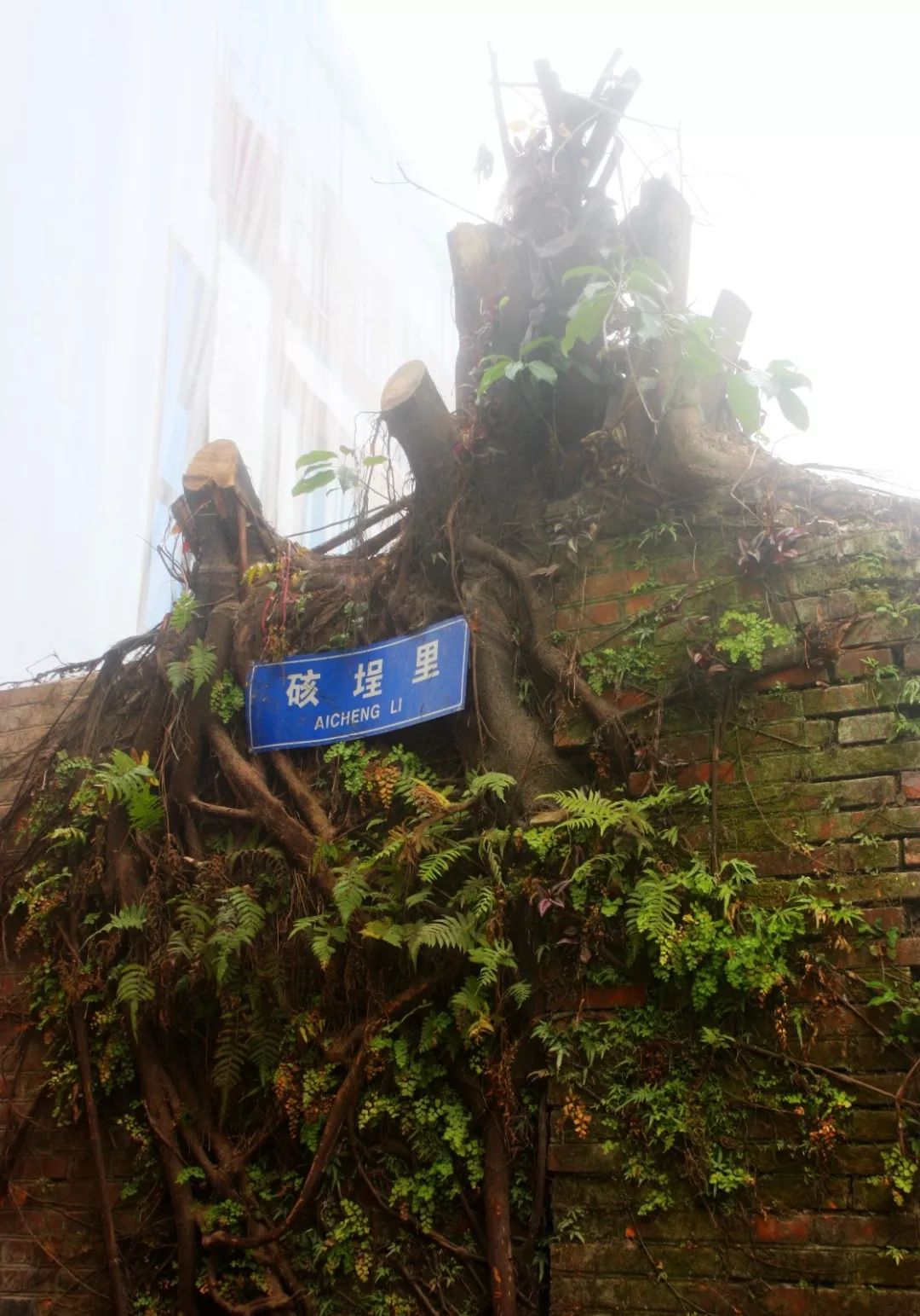 旅行种草,垦丁必打卡景点