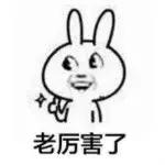 高手在民间手工作品,高手在民间手工制作