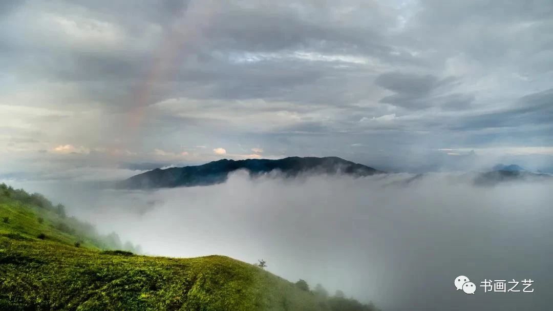 有芒的麦子和无芒的麦子,有芒刺的稻子