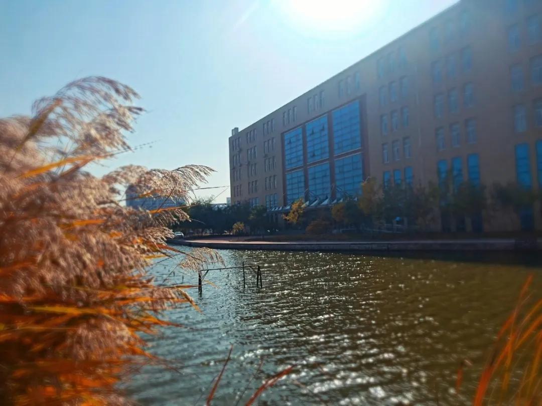 营口理工现状,营口理工不信谣不传谣