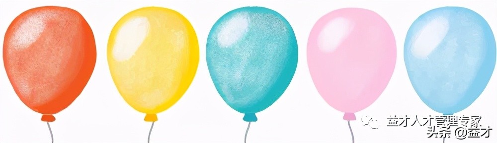 鑫希望西安,鑫希望组合