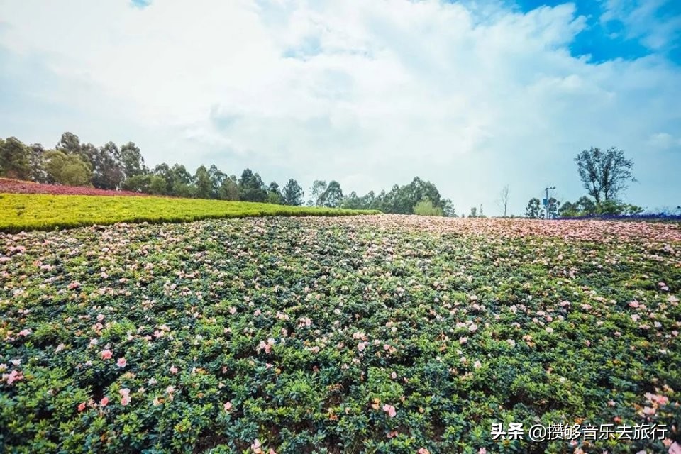 成都散步绿道有多好,逛绿道看风景