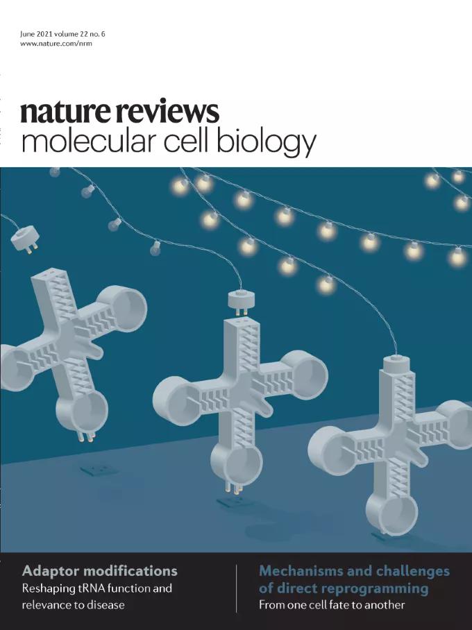 自然期刊封面,最新自然期刊