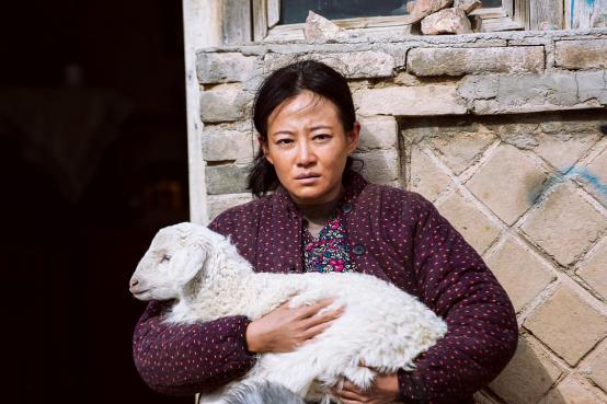 2018评分最高的内地电视剧,2018评分最高的10部电影