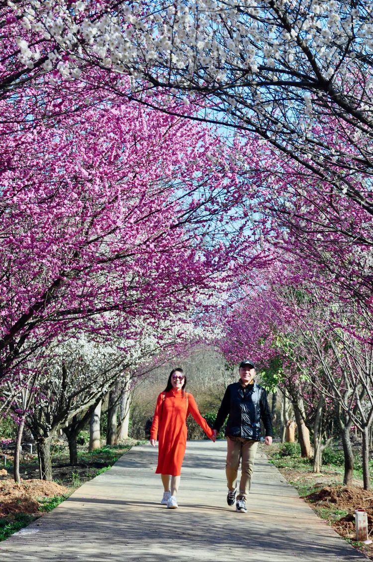 傅家边野营,走进金溪傅家村