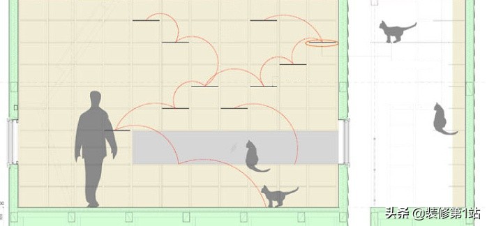 养猫咪怎么样才可以当铲屎官,新手养猫如何布置猫咪的房间