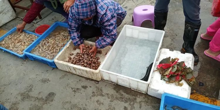 浣犲涔呮病鍘绘捣杈瑰害鍋囦簡,浣犲涔呮病鏈夊嚭闂ㄦ梾娓镐簡