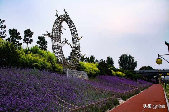 哪些事是到了山西才知道的,鹿泉那些事