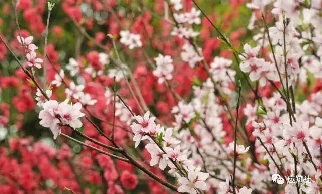 宁波踏青好去处自驾,宁波周边免费踏青爬山