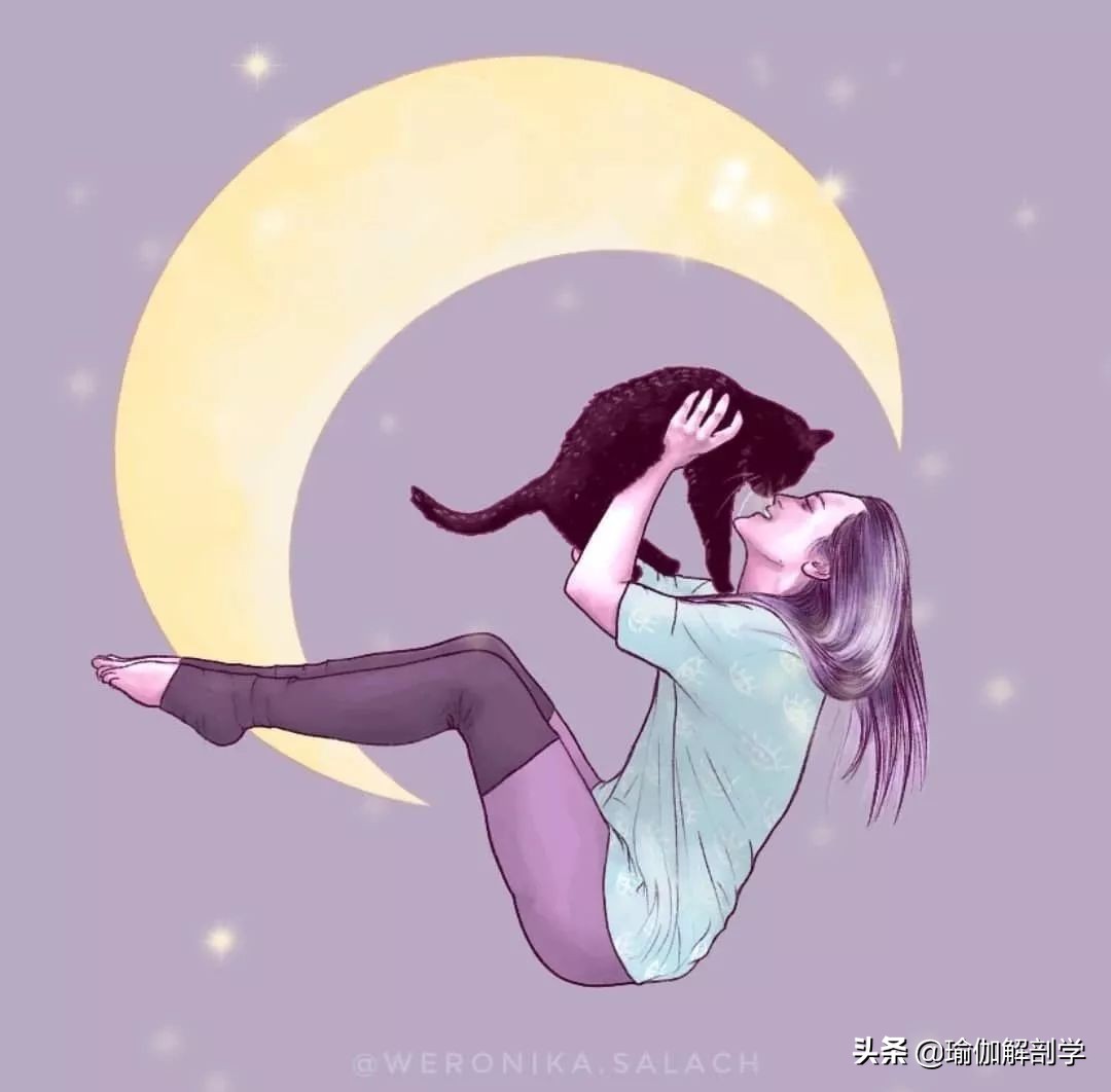 瑜伽练习的六个原则,瑜伽初学者必学的2个体式