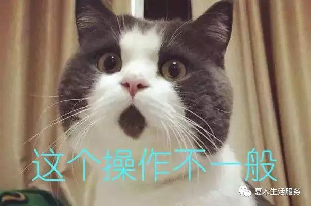 信用卡还款超过26秒算逾期吗,信用卡还款超过最低还款算逾期吗