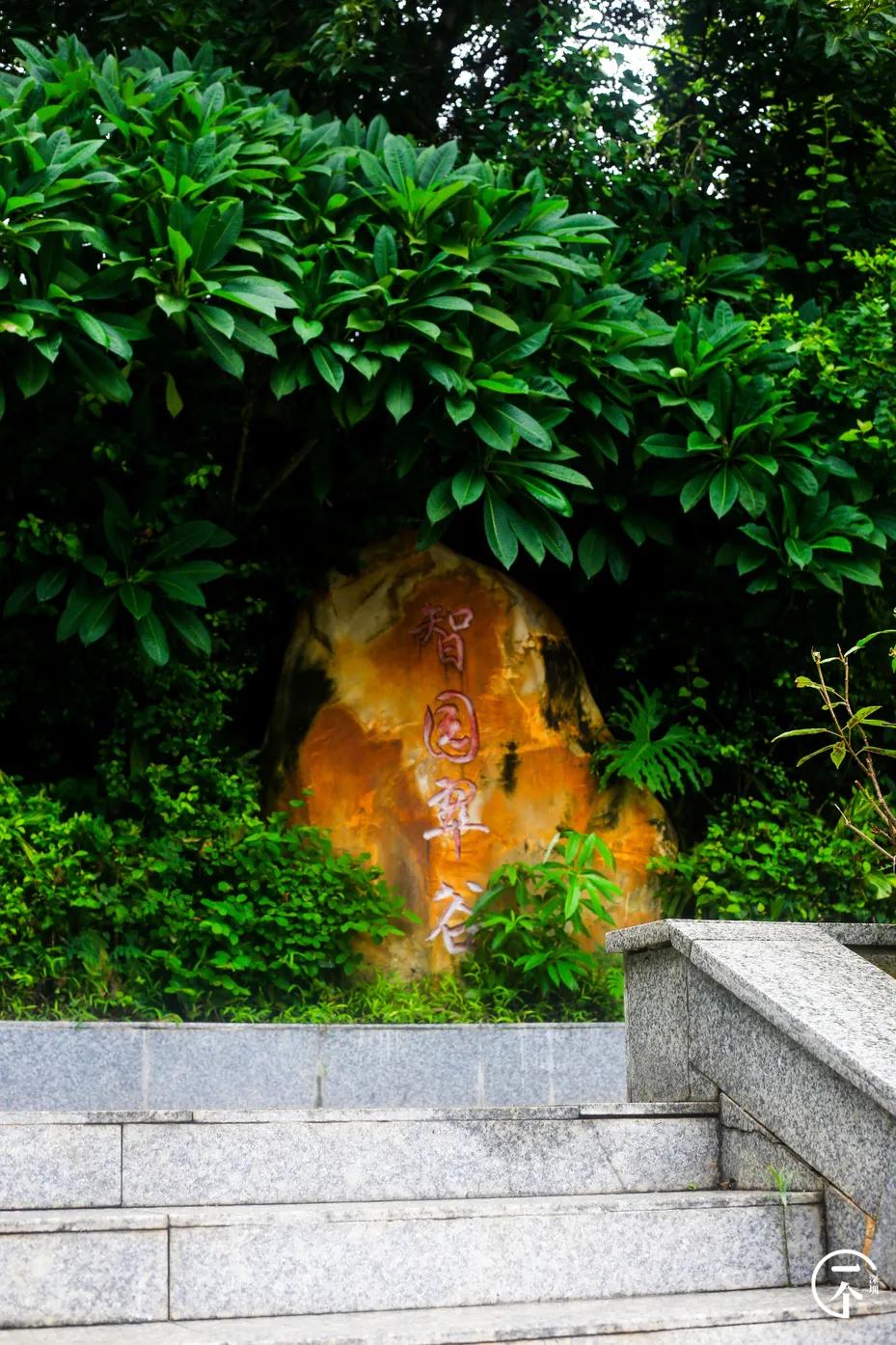 塘朗租房贵吗,西丽塘朗房租